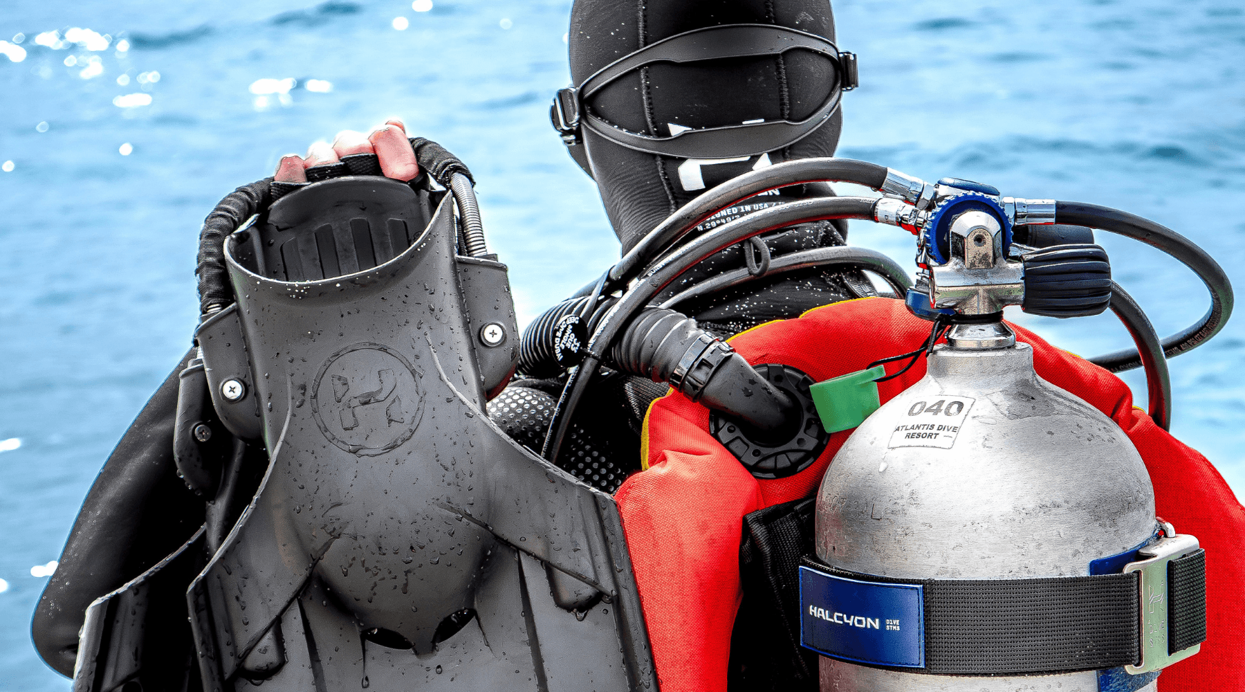 Diver with Halcyon gear from behind looking at the sea