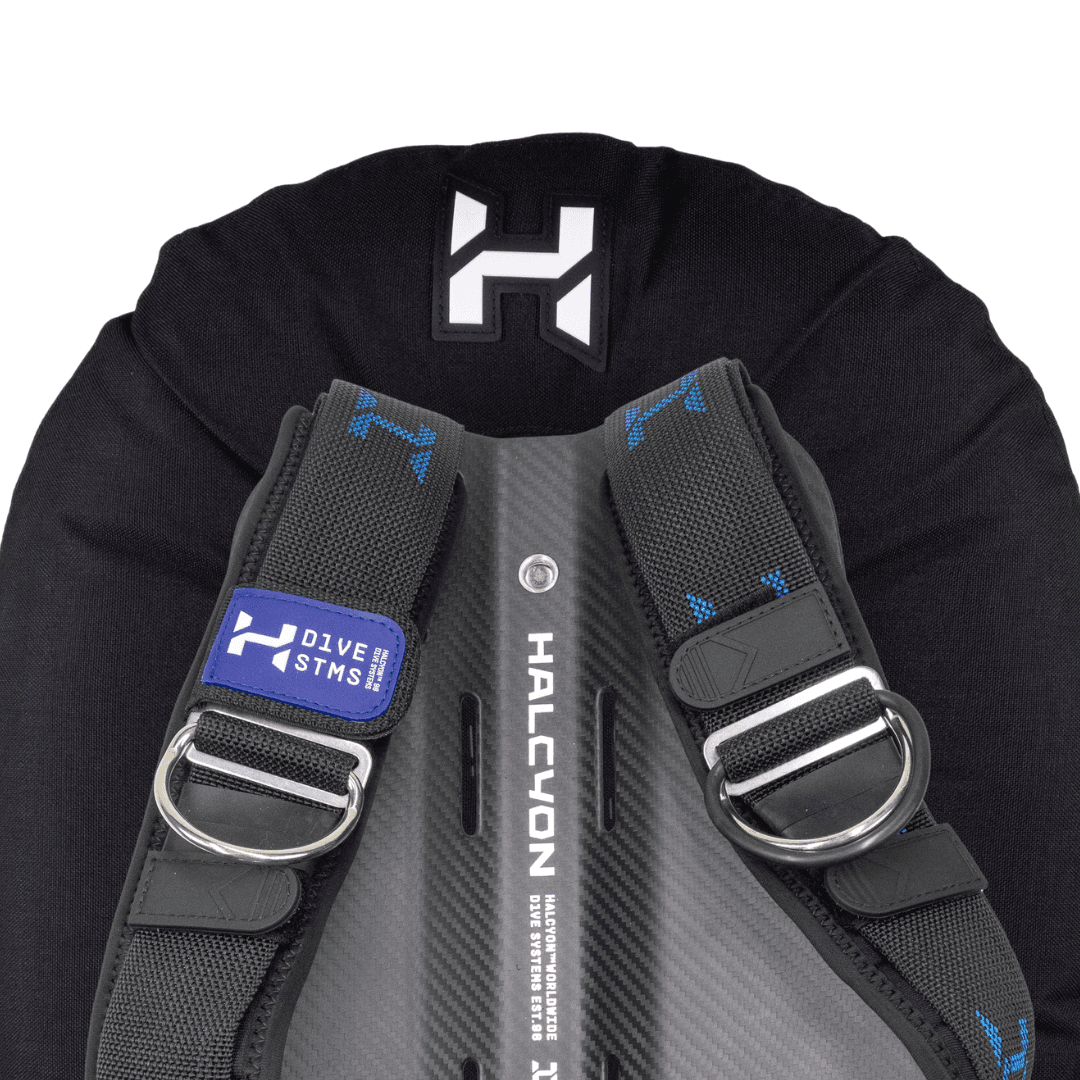 Eclipse wing with carbon fiber backplate