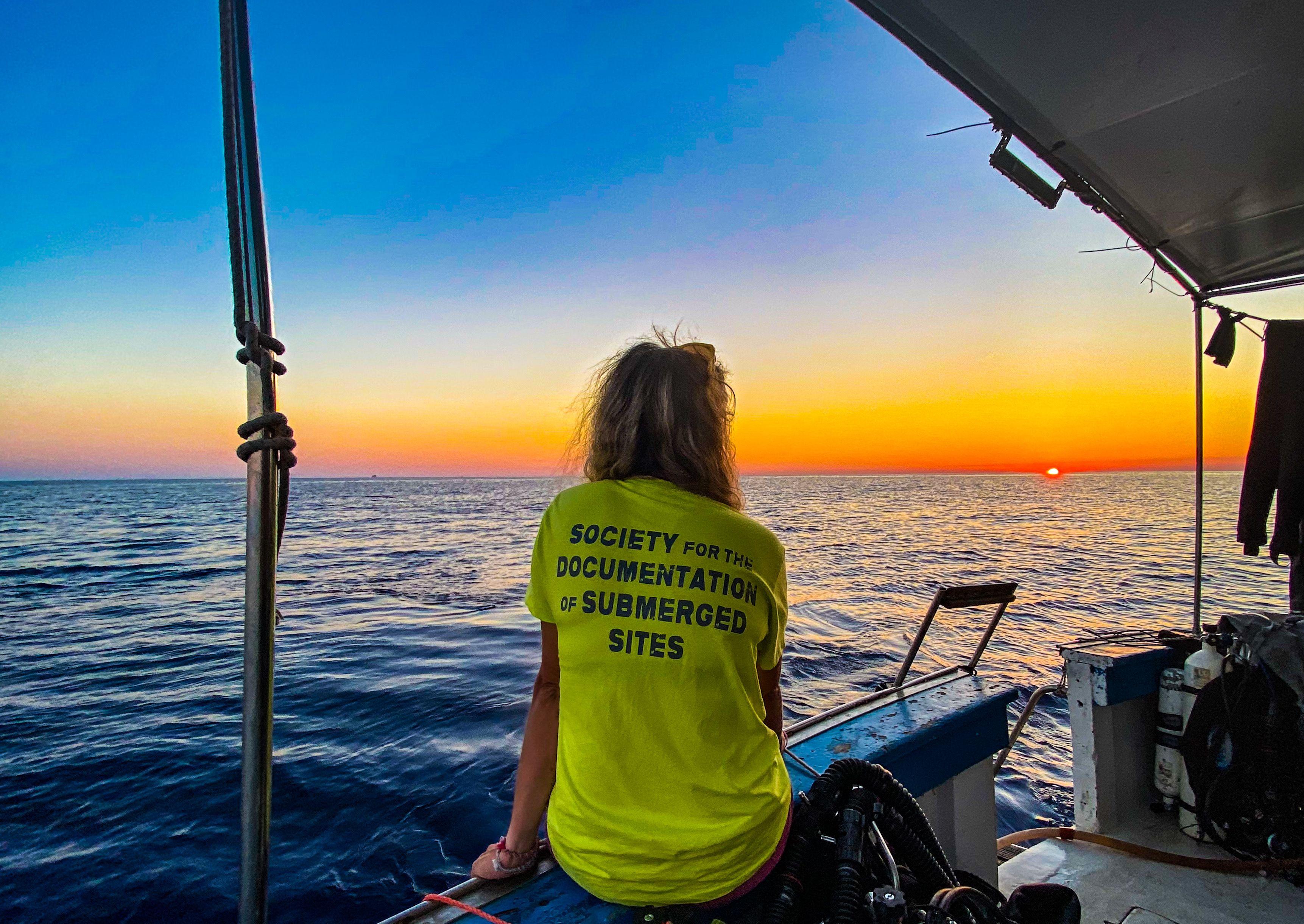 sdss and halcyon partner on a project