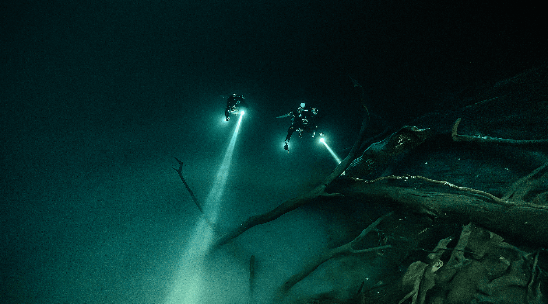 Halcyon Dive Light on a Dive