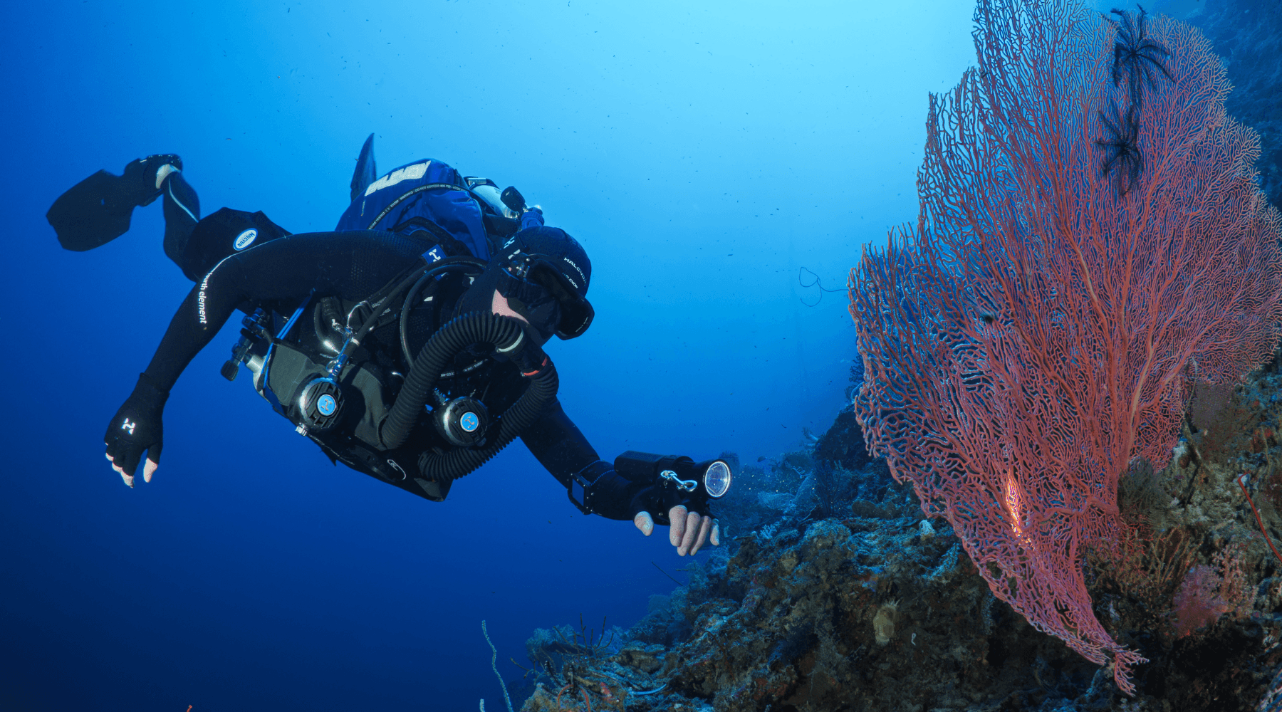 Diver with Symbios rebreather next to a coral
